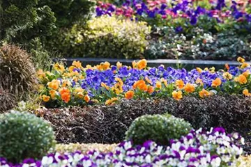 Das Grab im Lauf der Jahreszeiten Das Grab im Lauf der Jahreszeiten