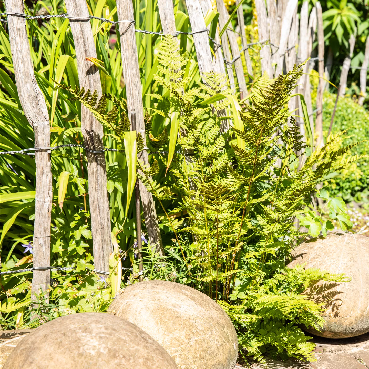 Gartenzäune und Sichtschutz schützen vor neugierigen Blicken